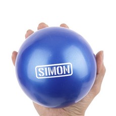 사이먼스포츠 소프트웨이트볼, 블루, 2개