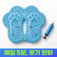 모드무드 가정용 걷기 홈트 무소음 발지압 스텝퍼 유산소 운동기구, 블루