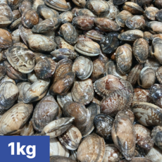 [신가네유통] 여수 산지직송 바지락 국산 생물, 1개, 1kg