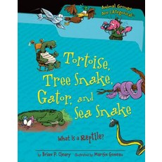 (영문도서) Tortoise Tree Snake Gator and Sea Snake: What Is a Reptile? Library Binding, Millbrook Press (Tm), English, 9780761362104