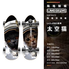 四輪滑闆車 兒童滑闆 初學者滑闆 青少年滑闆 雙翹闆 陸地製燥 陸地衝浪闆 初學者YOW衕款彈簧橋滑闆路衝滑闆, L6  29寸太空貓, 1個