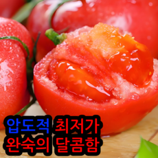 [압도적최저가]강력추천 완숙의 달콤함 못난이 완숙토마토, 1박스, 5kg