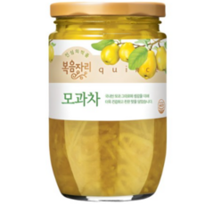 복음자리 모과차, 480g, 1개입, 20개