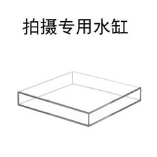 老街口 亞克力拍攝淺水缸深水缸 有機玻璃高清透明水槽 水下專用拍攝, 1個