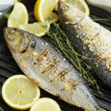 [산지직송] 전남 자연산 전어 가을제철생선 구이용, 1개, 1kg