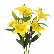 BloomLife 조화 인조꽃 인테리어 장식용 백합 조화꽃 3줄기 세트 60cm 인테리어 조화 꽃다발, 옐로우, 1개
