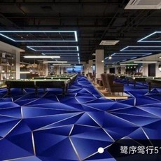 檯球廳專用地毯 尼龍球房滿鋪桌球室印花阻燃隔音防火, 400克-01,【一平方價格】100平方起, 1個