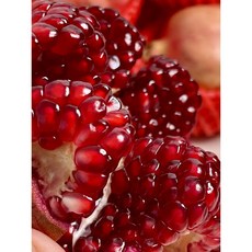 [품질선별] 탱글한 석류알 가득한 신선 생 석류 항공수입 생과, 1개, 지팜 석류 중과 2.5kg(6~7과)