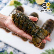랍스터 테일 1마리 110g~150g (4oz) 냉동 랍스타 꼬리 바닷가재 꼬리, 랍스터테일