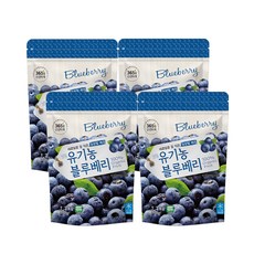 [호재준] 냉동 유기농블루베리(미국), 1.3kg, 4개