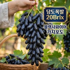 꿀당도끝판왕 블랙사파이어 포도 꿀포도 가지포도, 1박스, 4kg