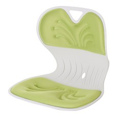 엔뚜마노 프로퍼체어 허리 등받이 자세교정 좌식 의자 PRO-15, 그린