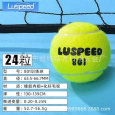 【臺灣出貨】Luspeed兒童網球綠球桔球大紅球訓練器耐用網球-奢尚匯品, 24粒訓練球801, 1個