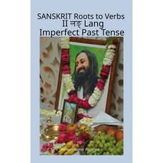 (英文圖書)Sanskrit Roots to Verbs II Lang Imperfect Past Tense 精裝版, Devotees of Sri Sri Ravi Sh..., English