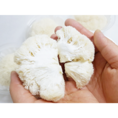 노루궁뎅이버섯 생노루궁뎅이버섯 생버섯 흰색노루궁뎅이 샤브샤브, 1개, 생노루궁뎅이버섯 3팩