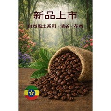 Guobao Coffee 衣索比亞水洗 中焙 早餐豆 自然風土系列・清谷・花香, 500g, 1個