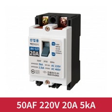 진흥 460V 220V 20A 2P2E 산업용 배선차단기 전기차단기 전기실 가설, 1개