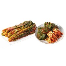 도미솔 맛있는 갓 김치 파 김치, 2개