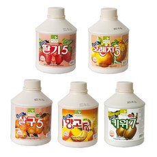 차그림 프리미엄 과채음료 농축액 모음, 850ml