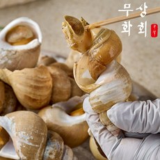 무화상회 당일조업 동해안 자숙 백골뱅이, 1개, 소 1kg(30~45개)