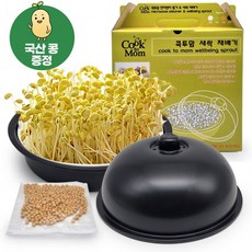 콩나물 재배기 키우기 식물 시루 국산콩증정 가정용 실내 새싹 학습, 무지박스