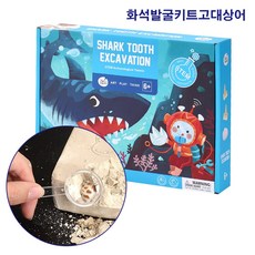 상어이빨 조개화석 발굴하기 STEM 교구
