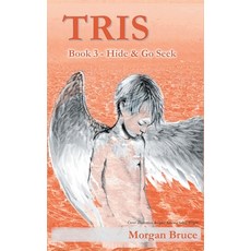 (영문도서) Tris 3 - Hide & Go Seek Hardcover, Strategic Book Publishing, English, 9781682355084