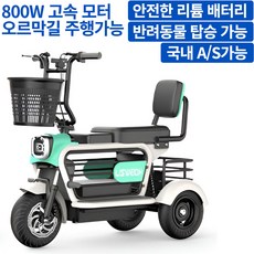 루체로 언덕주행가능한 800W 힘좋은 세발전동스쿠터 반려견 탑승가능한 스쿠터 3인승 가정용 등하원용 추천 전기스쿠터, 1개, 민트그린-48V800W-70A