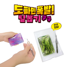 피르가즘 뽑는 맛 실 털 뽑기 스트레스 해소 집중력 향상 실리콘 손 장난감 피젯 토이 + 핀셋세트, 1개, 그린 퍼플