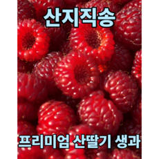서비네 산지직송 프리미엄 산딸기 생과, 1개, 1kg