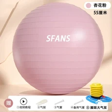 요가 볼 어린이 감각 훈련 두 꺼 운 폭발 방지 정품 대 룡 구 헬 스 볼 임산부 조산 다이어트 평형 구, 09 apricot pollen 550mm