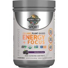 가든오브라이프 스포츠 오가닉 에너지+포커스 프리 워크아웃 파우더 엘더베리맛 432g, 1개