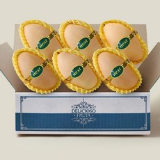 [후레쉬망고] 달콤새콤 베트남 망고 1.5kg 선물세트, 1개