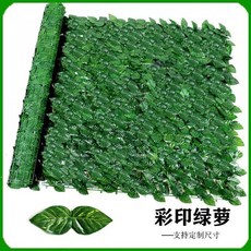 仿真綠植植物墻圍欄 過膠防水防曬, 高仿印綠蘿,1米X3米 3平米 送紮帶蝴蝶