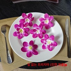 이자카야 인조 일식 원형 초밥 접시 사시미 벚꽃나무, 잎 없는 프래그런트 스노우 오키드 A