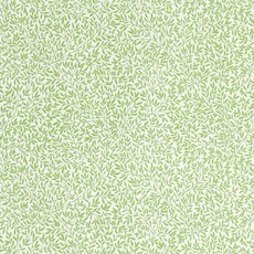 leaf green 아트포스터 감성선물 모리스, 그림만(소프트벨벳텍스쳐), 21x21, 55g, 1개