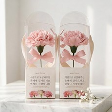 비누꽃 한 송이 카네이션 2종 세트, 핑크, 1개
