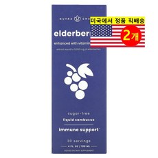 ProHealth Longevity 엘더베리 추출 500mg 비타민 C 아연 함유 베리 맛 Elderberry Vitamin C Zinc, 2개, 120ml