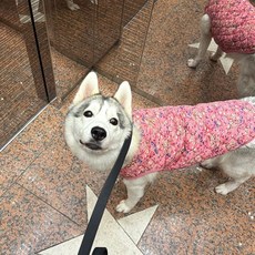 루체트리 강아지 조끼 대형견 할매 큰개 애견조끼 가을 겨울 반려동물 반려견, 핑크6xl, 1