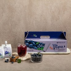 평창라벤다팜 유기농 블루베리 즙, 15개, 80ml