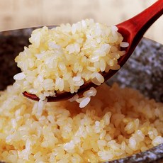 황미쌀-(당일 도정 천헤진선향) / 25년 생산 /오분도미쌀/ 당뇨쌀/암환자 건강식/ 5분도미/ 쌀눈쌀, 1개, 1KG