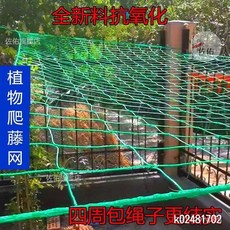 植物爬藤網 百香果種植網 絲瓜弔瓜葡萄爬藤網 黃瓜月季花類爬藤網, 5米寬10米長,10厘米網格長度包邊, 1個