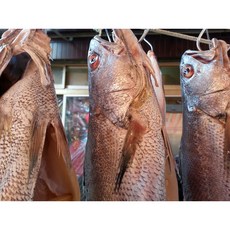 제수용생선 국산민어 44-46cm 생선맛집 싱싱수산, 1개