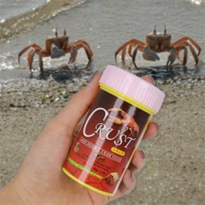 제인추천샵디자인 갑각류 사료 새우키우기