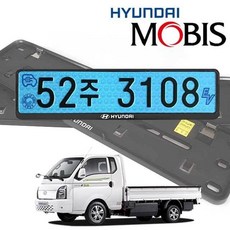 순정용 모비스 EV 번호판 가드 포터2 27060PC 1(pc), 현대 천공용 볼트 3P, 1개
