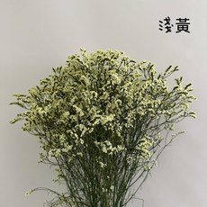 花藝夢*進口 永生水晶花 "單份販售約10克" 乾燥花 永生花 不凋花 乾燥花材 花藝師必備 配花 主花 花材 現貨, 淺黃