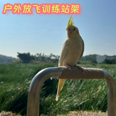 鸚鵡站架 戶外放飛訓練站架, 不銹鋼, 1個