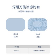 冰絲枕套 涼感透氣 A類材質 夏季適用 記憶棉內膽套 枕頭套組 一對裝 睡眠降溫 柔軟親膚+靜水藍+多功能枕套【一對裝】, 靜水藍