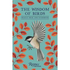 (영문도서)The Wisdom of Birds: Oracle Deck & Guidebook Paperback, Rizzoli Universe, English, 9780789346315