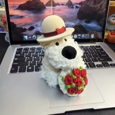 서프라이즈 강아지 인형 모자 속 반지케이스 여자친구 선물, 12cm, 1개, 빨간 장미